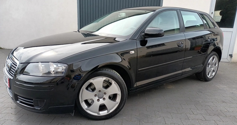 Audi A3 cena 21999 przebieg: 200840, rok produkcji 2008 z Inowrocław małe 742